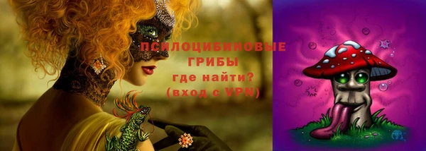 ECSTASY Арсеньев