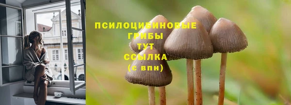 ECSTASY Арсеньев