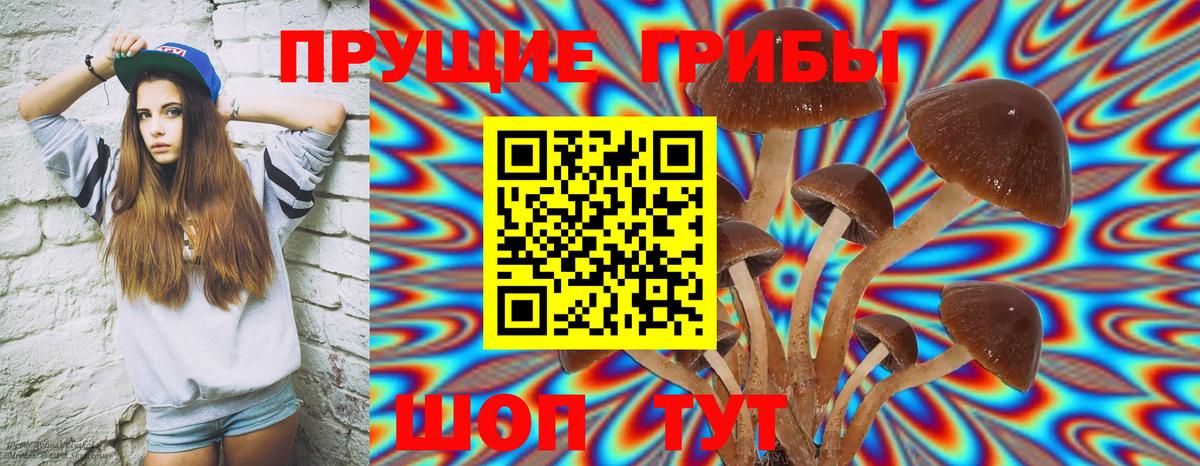 Псилоцибиновые грибы Psilocybe  Вход с VPN  Псилоцибиновые грибы ЛСД  Волхов 
